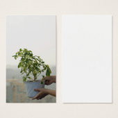 Rain (Front & Back)