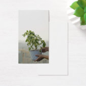 Rain (Desk)
