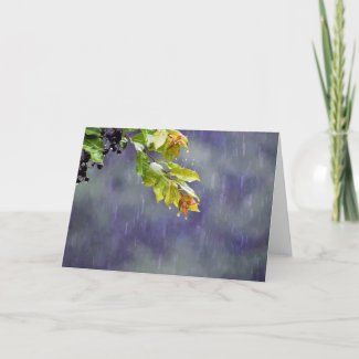 Rain, card