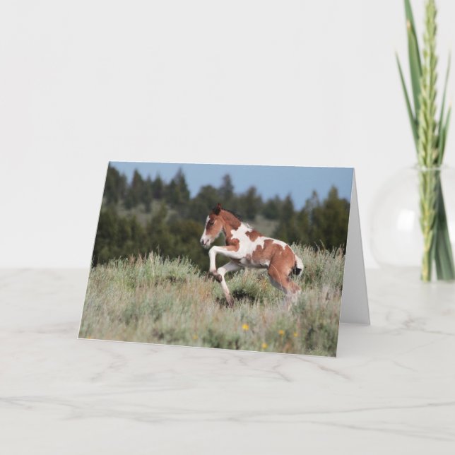 Rain Dance Greeting Card (Front)