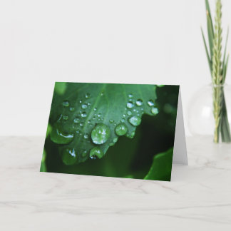 Rain Drop Blank Card