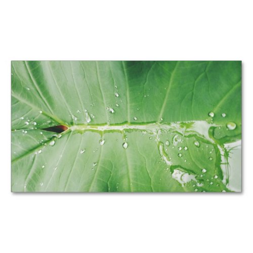Rain Droplets On Green Leaf Business Card Magnet