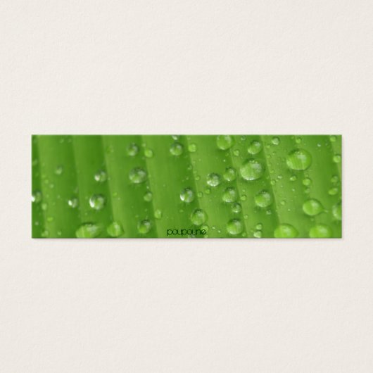 rain drops (Front)