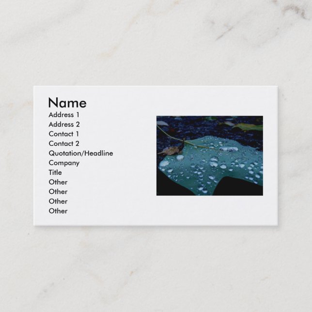 Rain Drops Business Card (Front)