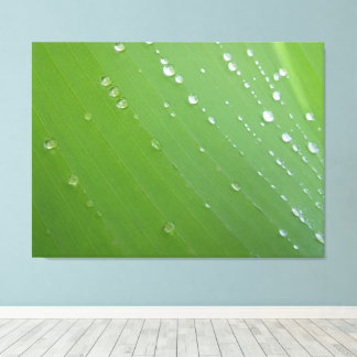 Rain Drops of Life on Emerald Leaf Photography Canvas Print