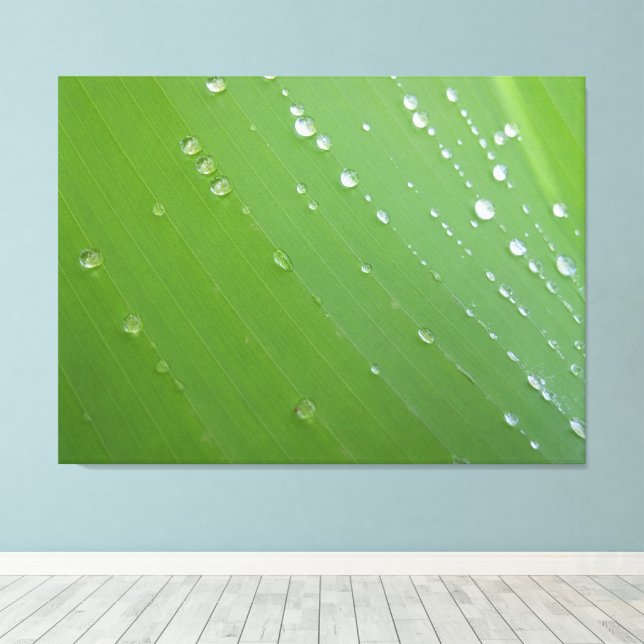 Rain Drops of Life on Emerald Leaf Photography Canvas Print (Insitu(Wood Floor))
