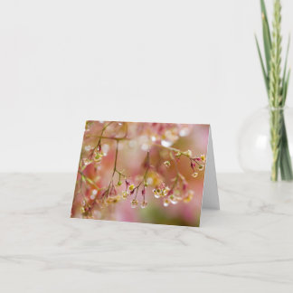 Rain Drops on a Purple Smoke Tree Flower Thank You Card