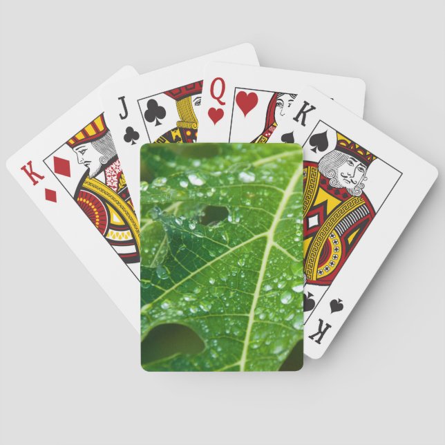 Rain Drops on Green Papaya Leaf Poker Cards (Back)
