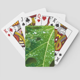 Rain Drops on Green Papaya Leaf Poker Cards