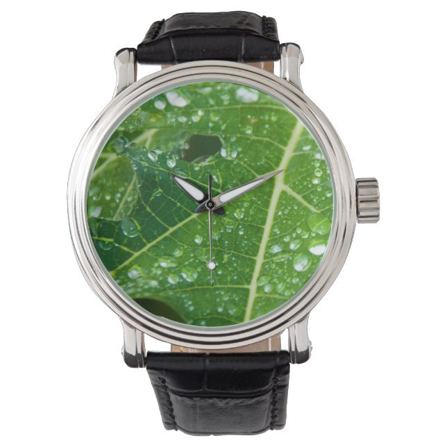 Rain Drops on Green Papaya Leaf Watch (Front)