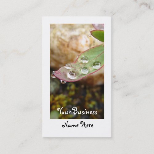 Rain Drops on Leaf Business Card Templates