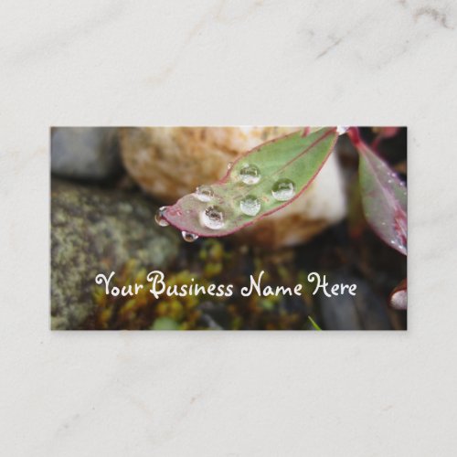 Rain Drops on Leaf Business Card
