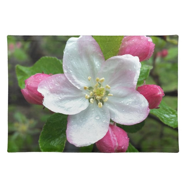 Rain drops on little flower cloth placemat (Front)