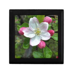 Rain drops on little flower gift box