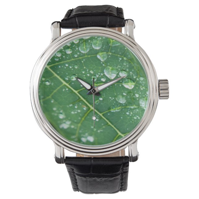 Rain Drops on Papaya Leaf Watch (Front)