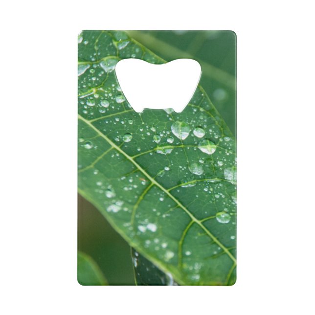 Rain Drops on Tropical Papaya Leaf Credit Card Bottle Opener (Front)
