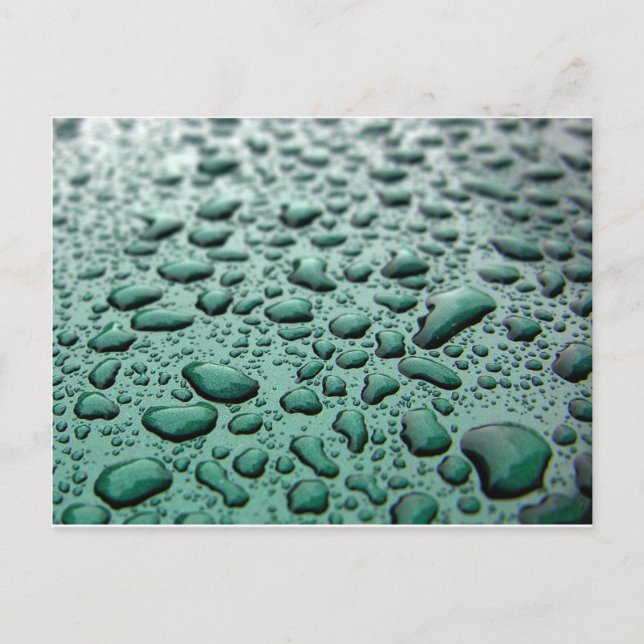 Rain Drops Postcard (Front)