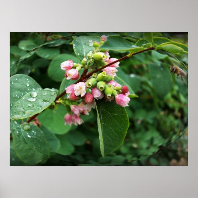 rain drops poster (Front)