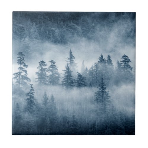 Rain Forest Clouds in the Pacific Northwest Ceramic Tile
