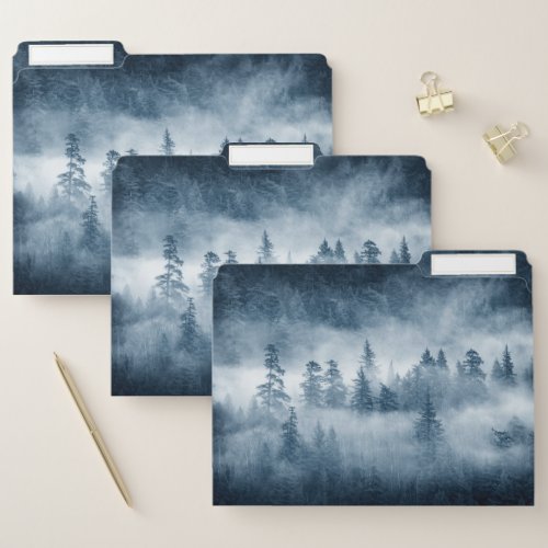 Rain Forest Clouds in the Pacific Northwest File Folder