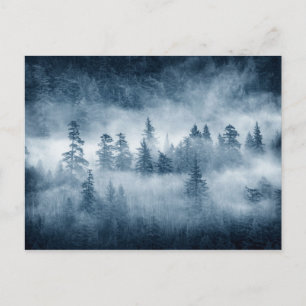 Rain Forest Clouds in the Pacific Northwest Postcard