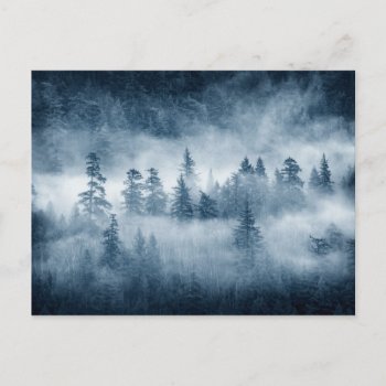 Rain Forest Clouds In The Pacific Northwest Postcard by intothewild at Zazzle