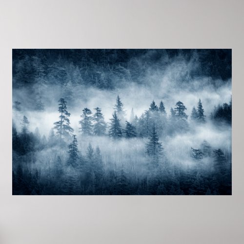 Rain Forest Clouds in the Pacific Northwest Poster