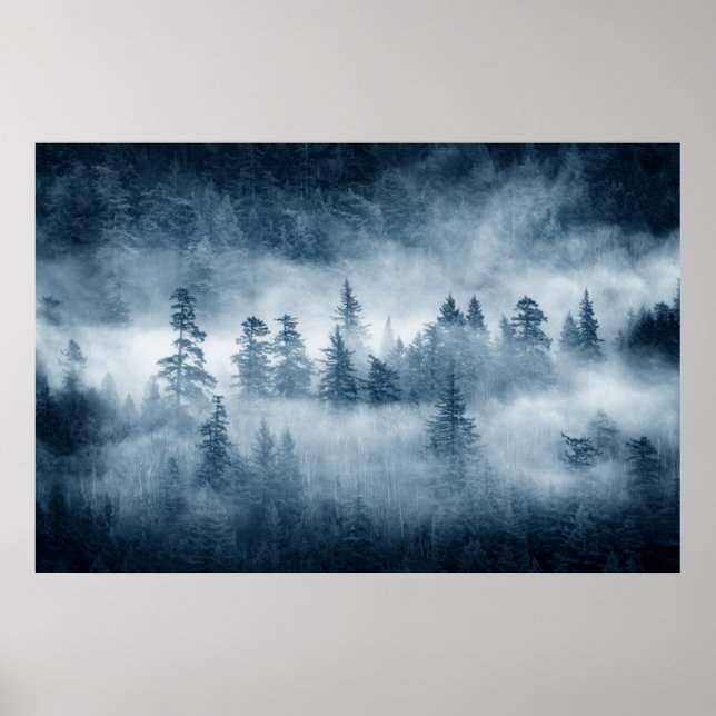Rain Forest Clouds in the Pacific Northwest Poster (Front)