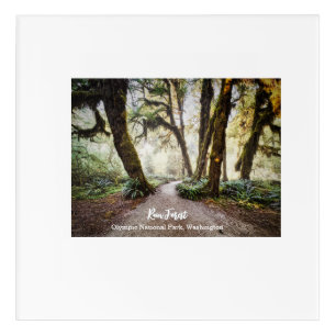 Rain Forest • Olympic National Park, Washington Acrylic Print