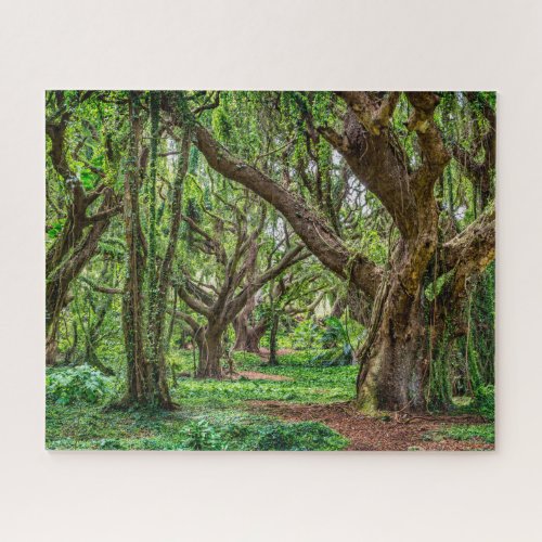 Rain Forest Trees Jigsaw Puzzle