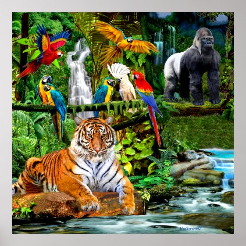 RAIN FOREST WILDLIFE POSTER