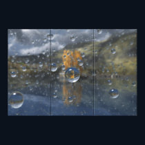 Rain in the Glen Canvas Print