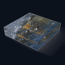 Rain in the Glen Paperweight