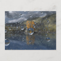 Rain in the Glen Postcard