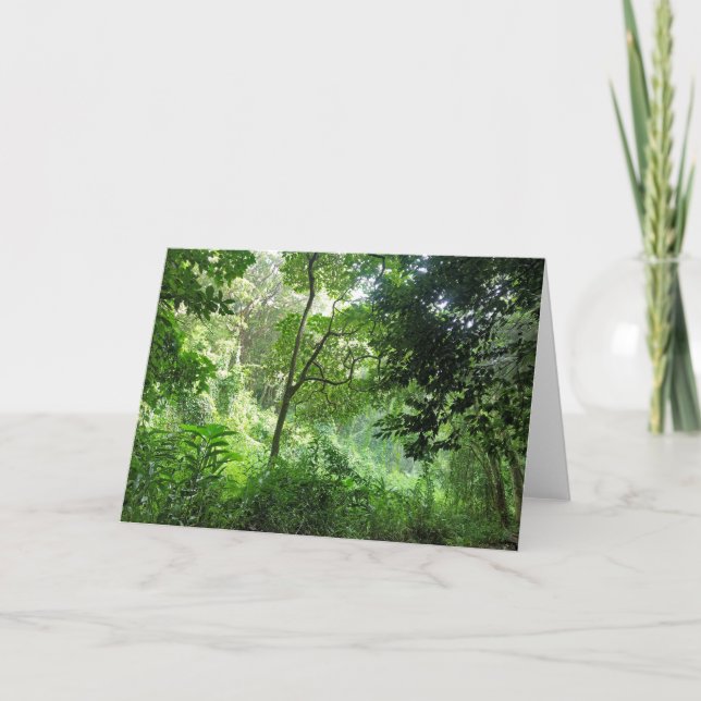 Rain in the Rainforest Card (Front)