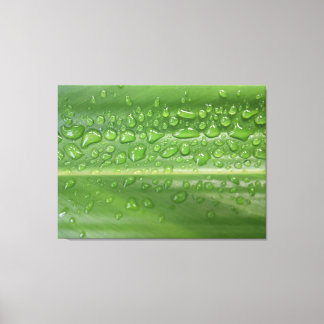 Rain-Kissed Green Leaf Macro Photography Canvas Print