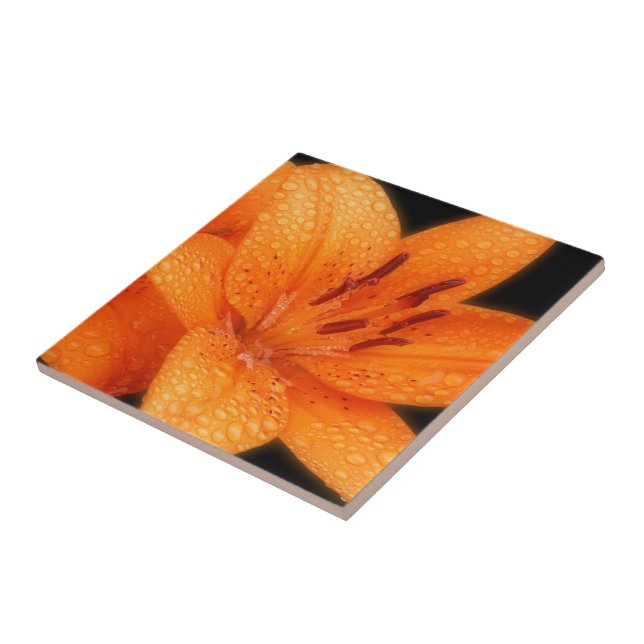 Rain-Kissed Orange Asiatic Tiger Lilies Ceramic Tile (Side)