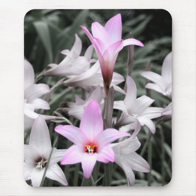 rain lilies mouse pad (Front)