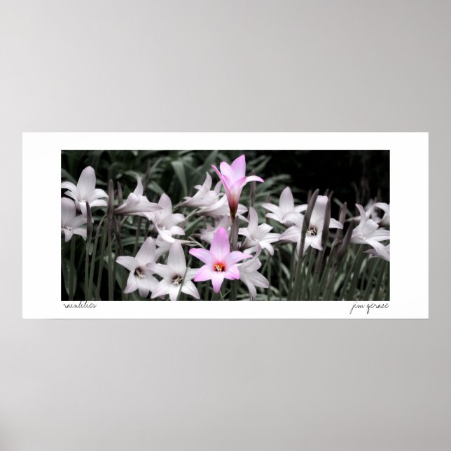 rain lilies poster (Front)