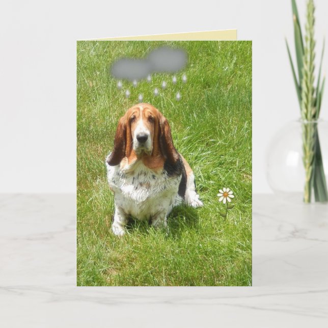 Rain On Funny Birthday Card W/Basset Hound (Front)