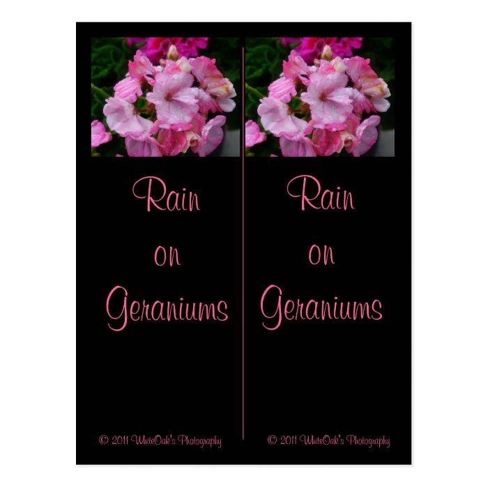 Rain on Geraniums Bookmarks  Postcard