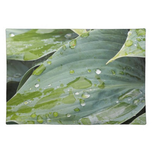 rain on leaves placemat