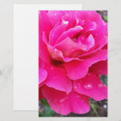 Rain on petals (Front/Back)