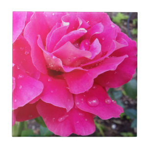 Rain on petals ceramic tile