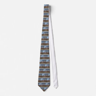 Rain on the Great Sand Dunes Neck Tie