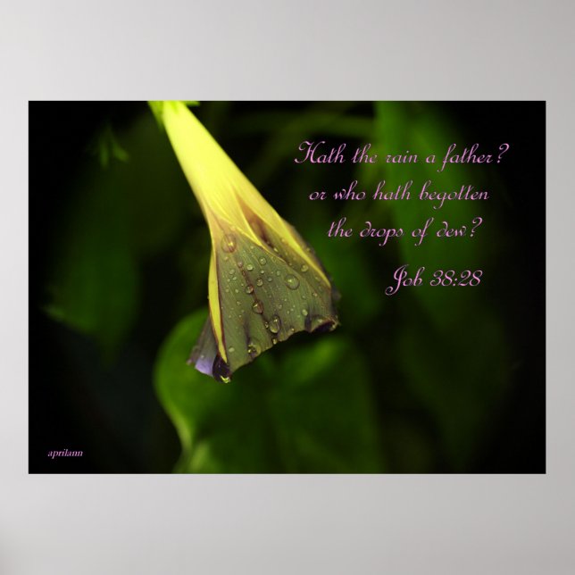 Rain on the Morning Glory - poster (Front)