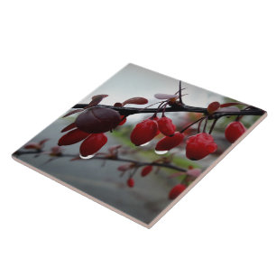 Rain on twig ceramic tile
