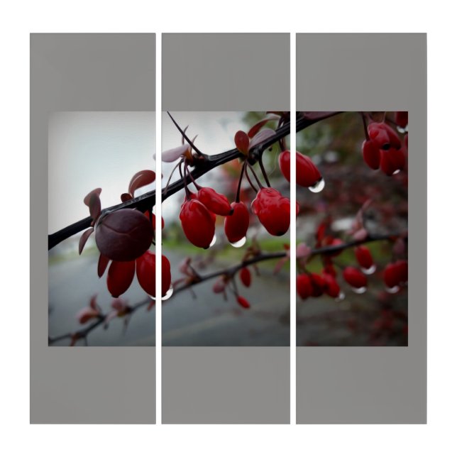 Rain on twig triptych (Front)