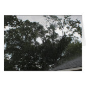 Rain Rain Go Away (Front Horizontal)