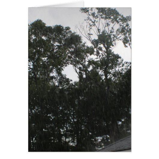 Rain Rain Go Away Cards (Front)